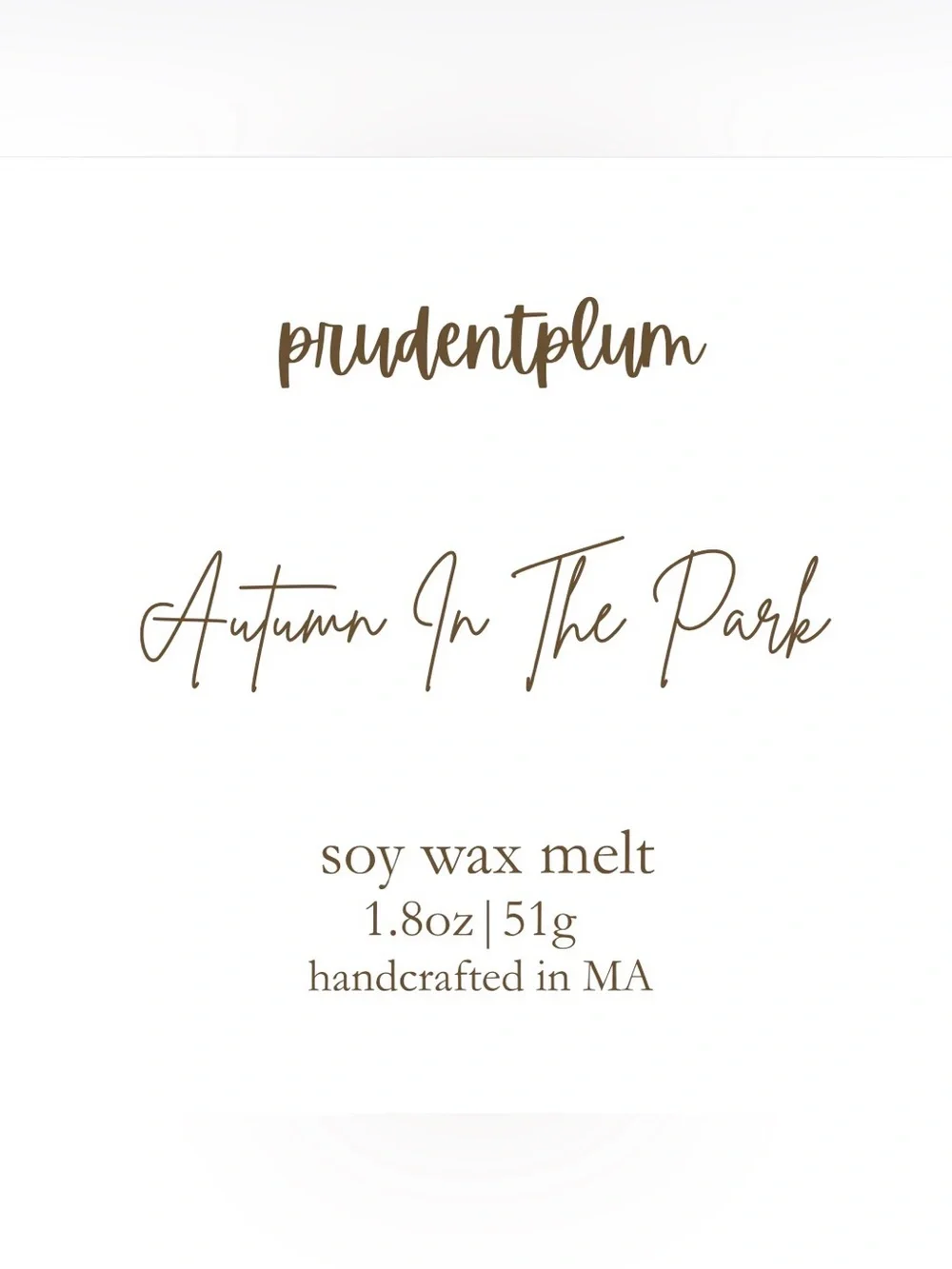 Autumn In The Park Soy Wax Melt Snap Bar 1.8oz | Melts For Wax Warmer